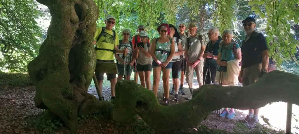 Circuit sur la commune de La Vôge-les-Bains 