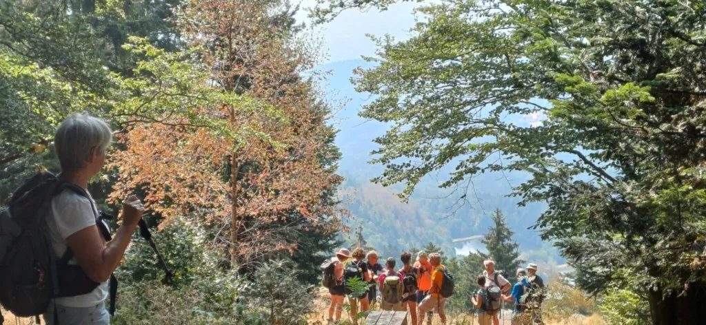 Les roches de l'Enfer et Issembach