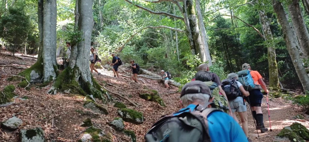 Les roches de l'Enfer et Issembach