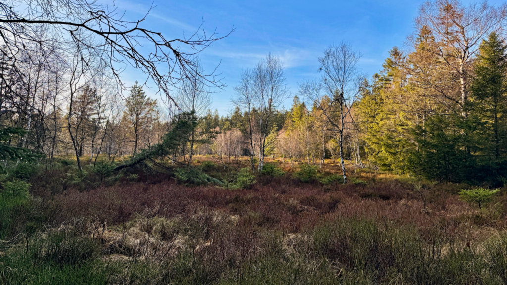 Parc naturel régional des Ballons des Vosges