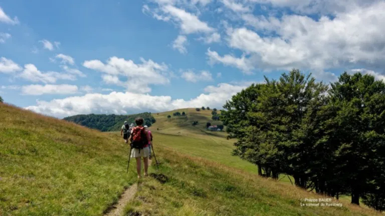 Forêt et son avenir