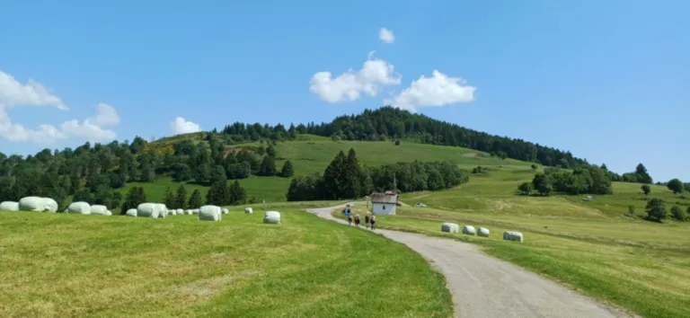 Chapelle des Vés