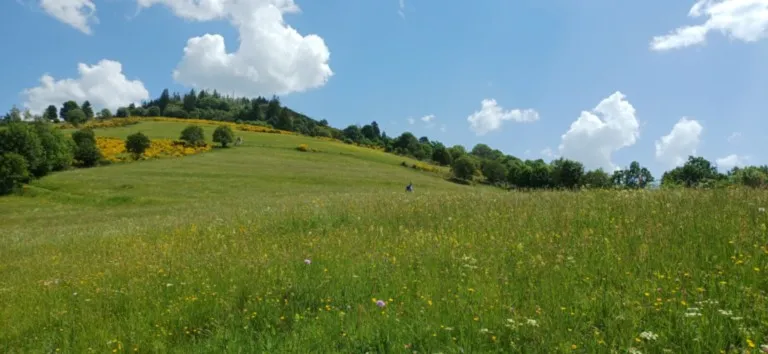 Chapelle des Vés