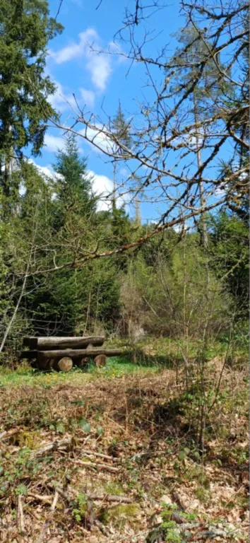 Bleu Forêt, la roche du Mettey 