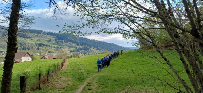 Bleu Forêt, la roche du Mettey 