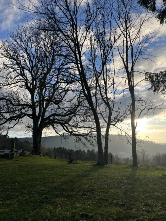 Vecoux, les étangs par le Bambois des Côtes