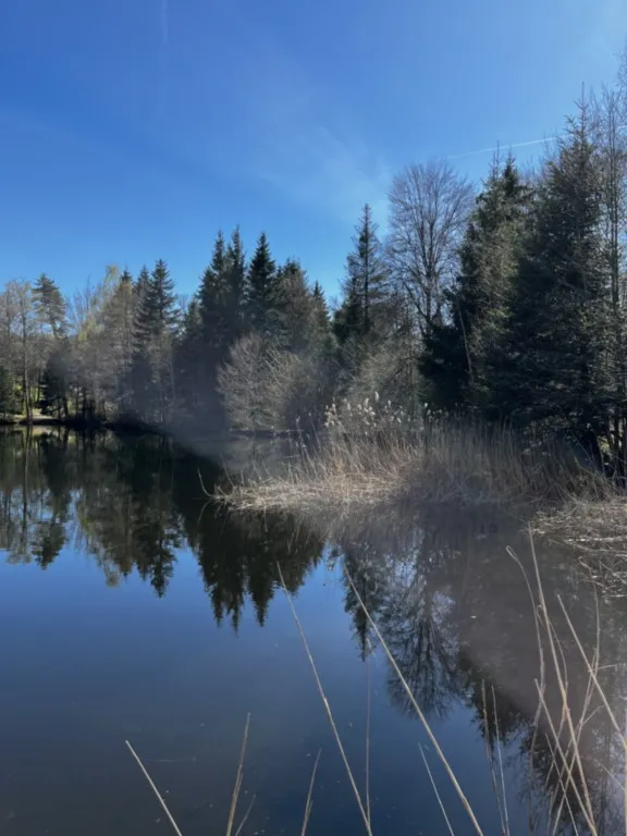 Boucle de la Vigotte, le Girmont