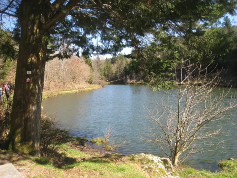 Mardi 18 mars 2025 : Saulxures sur Moselotte