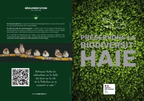 les haies, refuge poir la biodiversité